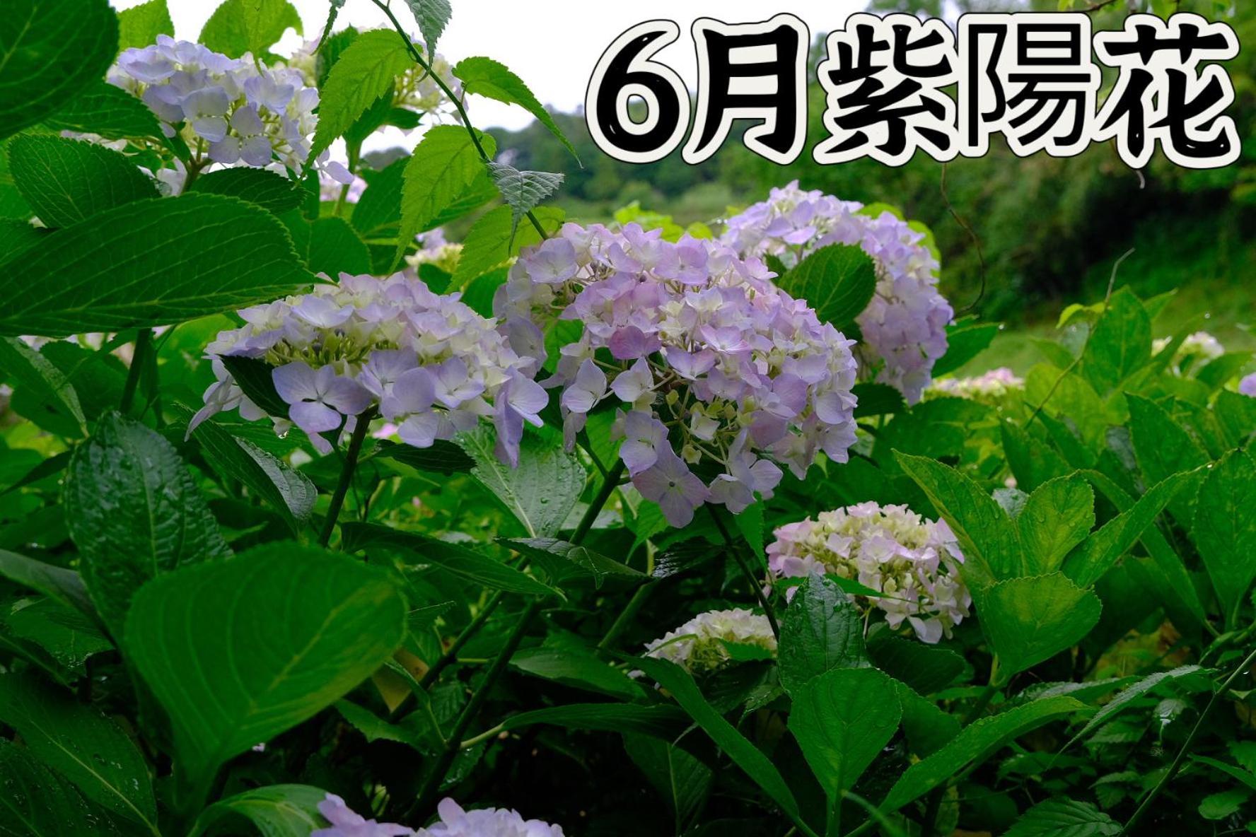 伊都山海渓 Itoshima ภายนอก รูปภาพ