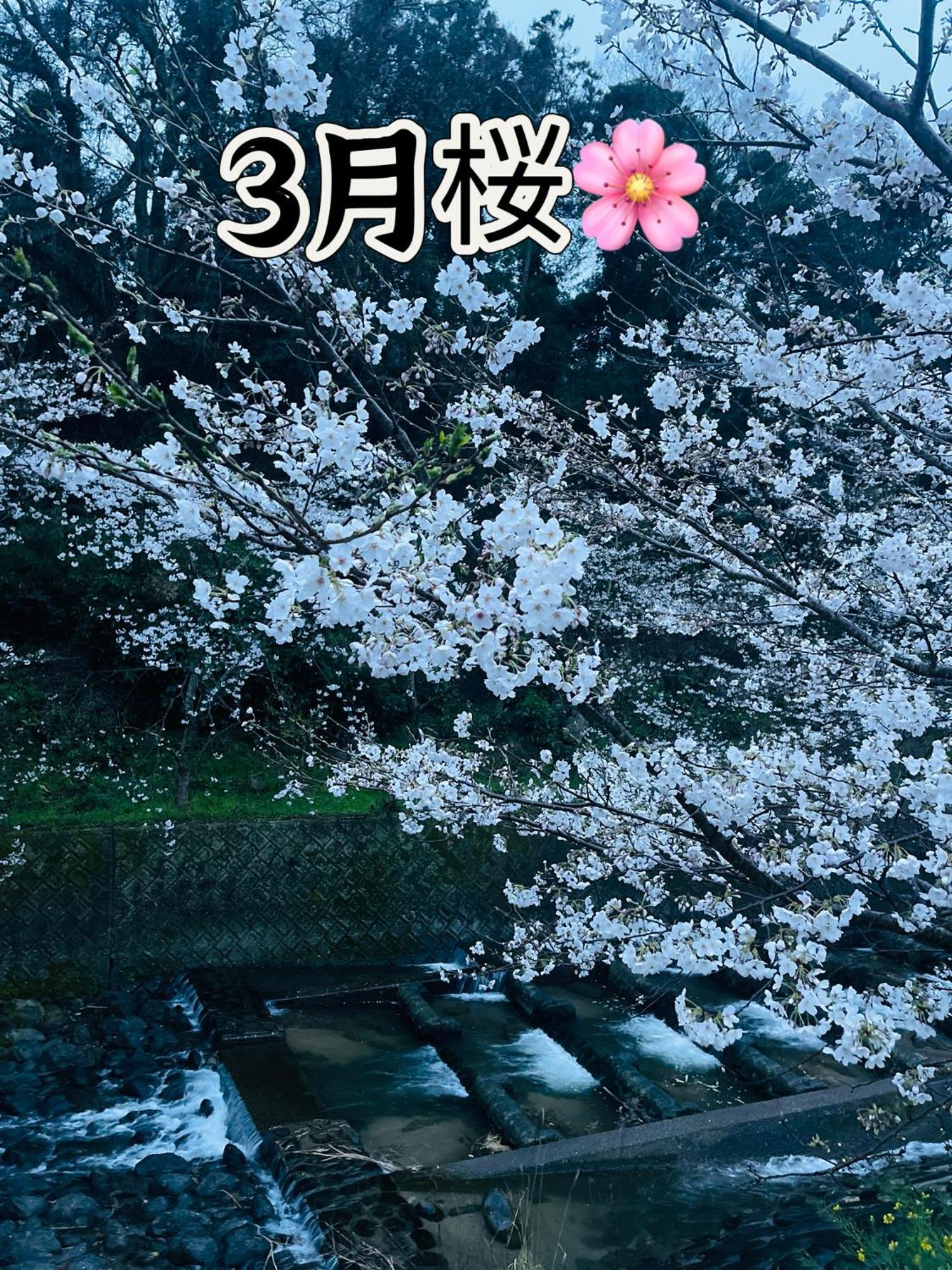 伊都山海渓 Itoshima ภายนอก รูปภาพ