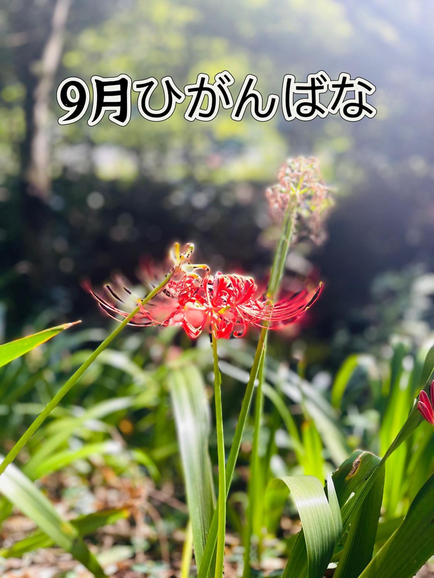 伊都山海渓 Itoshima ภายนอก รูปภาพ