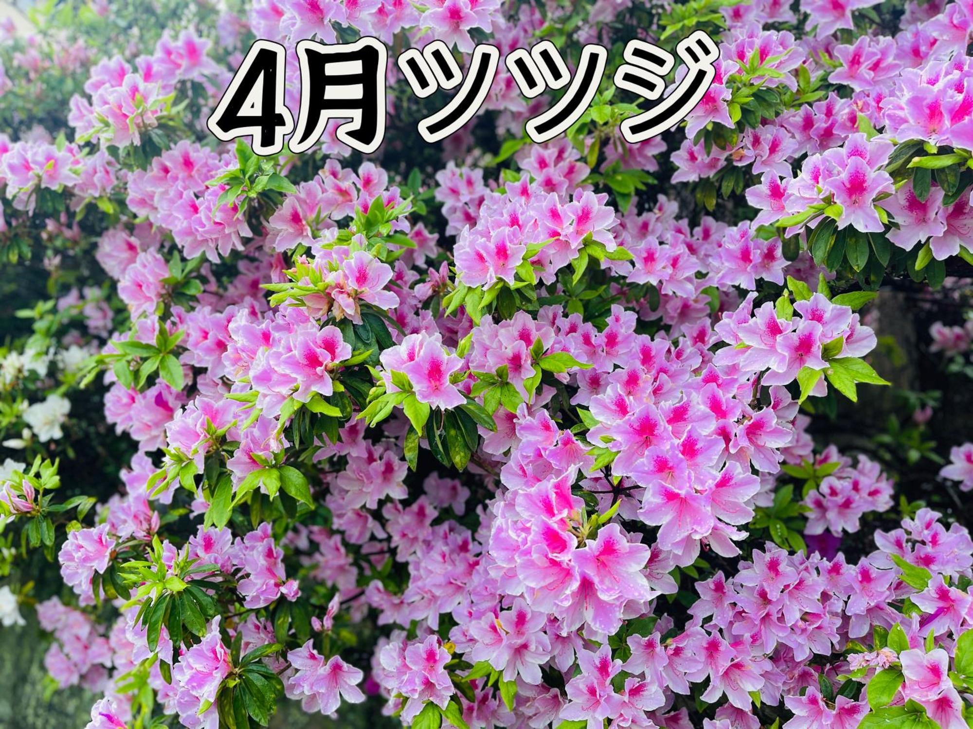 伊都山海渓 Itoshima ภายนอก รูปภาพ